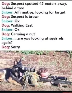 Sniper Meme.webp